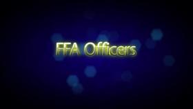 Blue & Gold Basics: Officers & Meetings :: iCEV | Online CTE ...