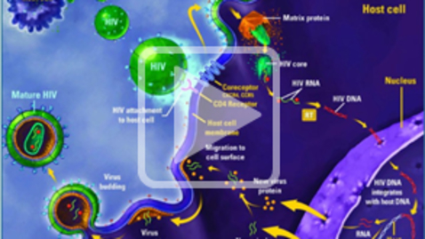 Thumbnail for entry A New Platform for Discovery of Novel HIV Host-Pathogen Interactions