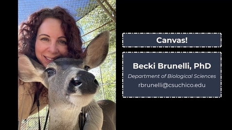 Thumbnail for entry Becki Brunelli Canvas Crew