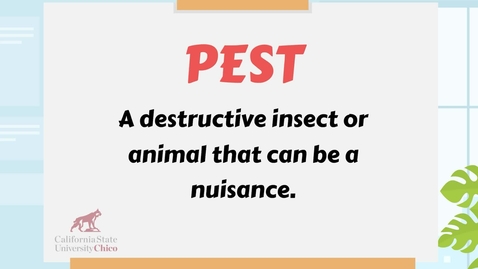Thumbnail for PESTS
