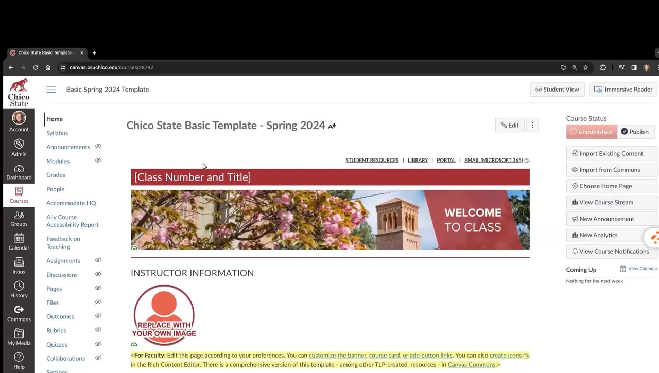 Spring 2024 Template Overview