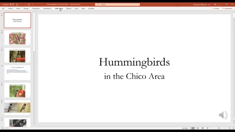 Thumbnail for entry Hummingbirds in the Chico Area