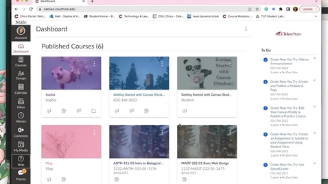 Thumbnail for Day 3 - Using Help in Canvas