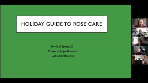 Thumbnail for entry Holiday Rose Guide