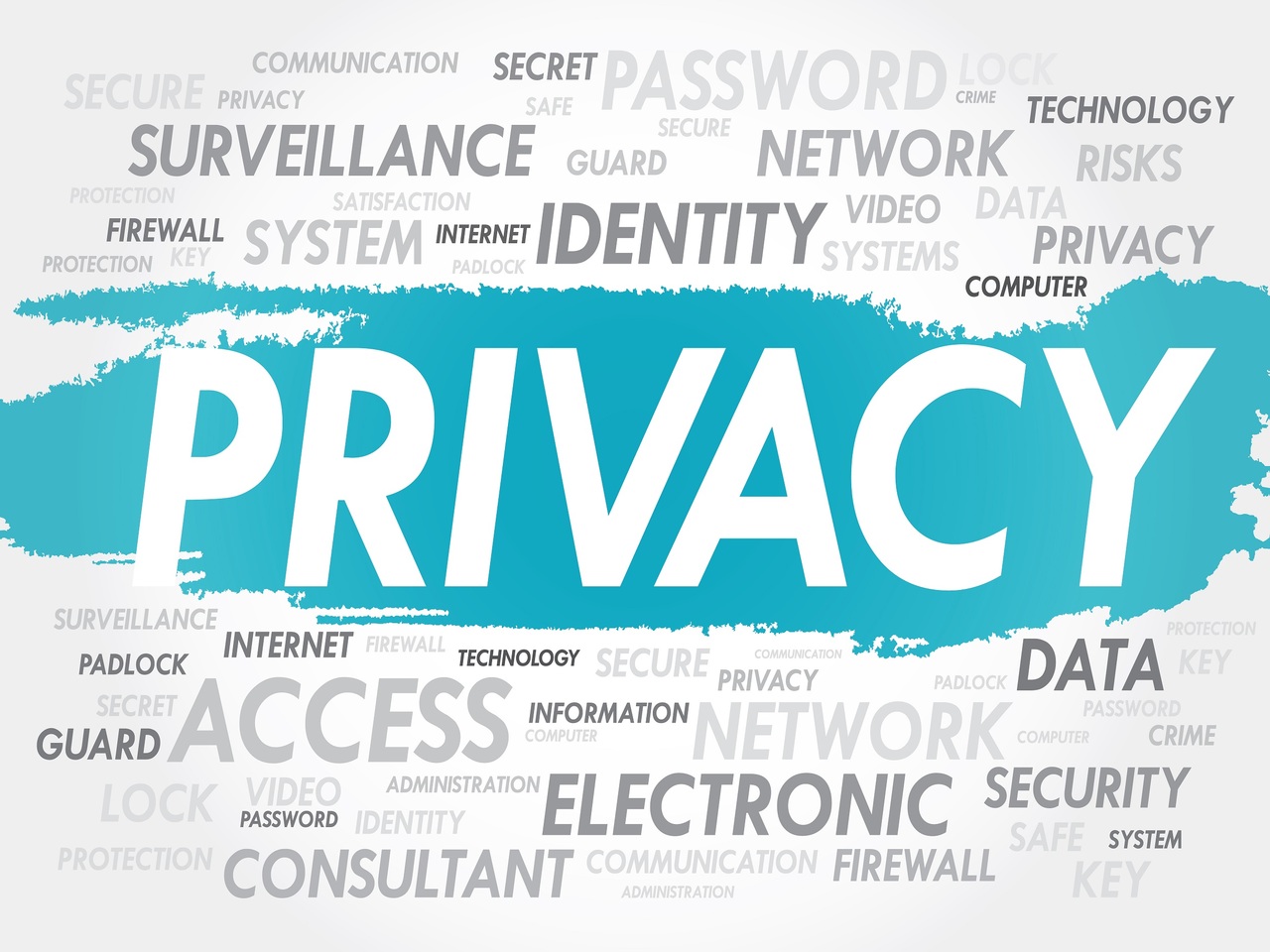 Assessing Privacy Controls
