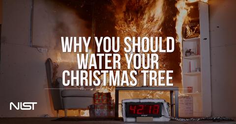 fire tree christmas nist vs watered dry