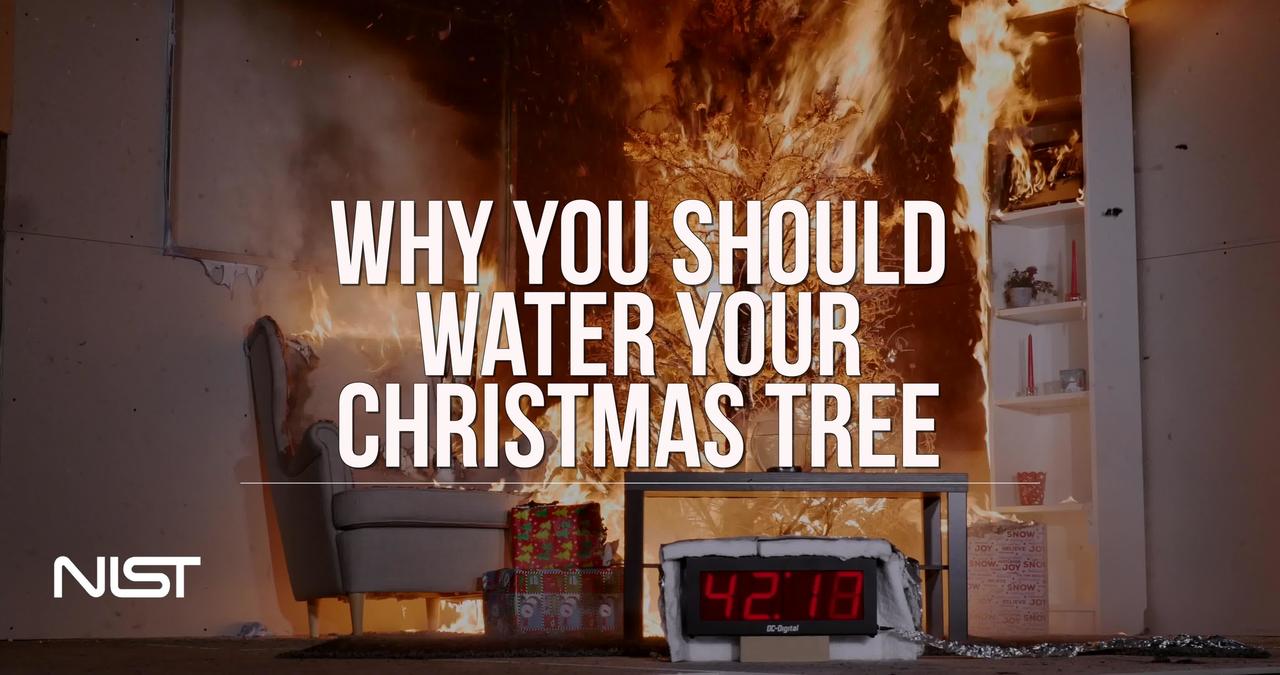Christmas tree fire: watered tree vs. dry tree