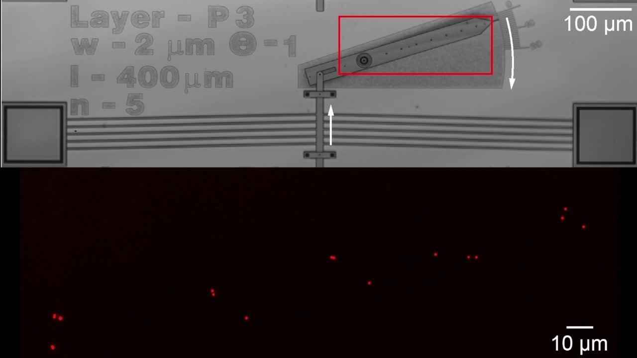 Measuring Nanoscale Motion Transfer Through Microscale Machine