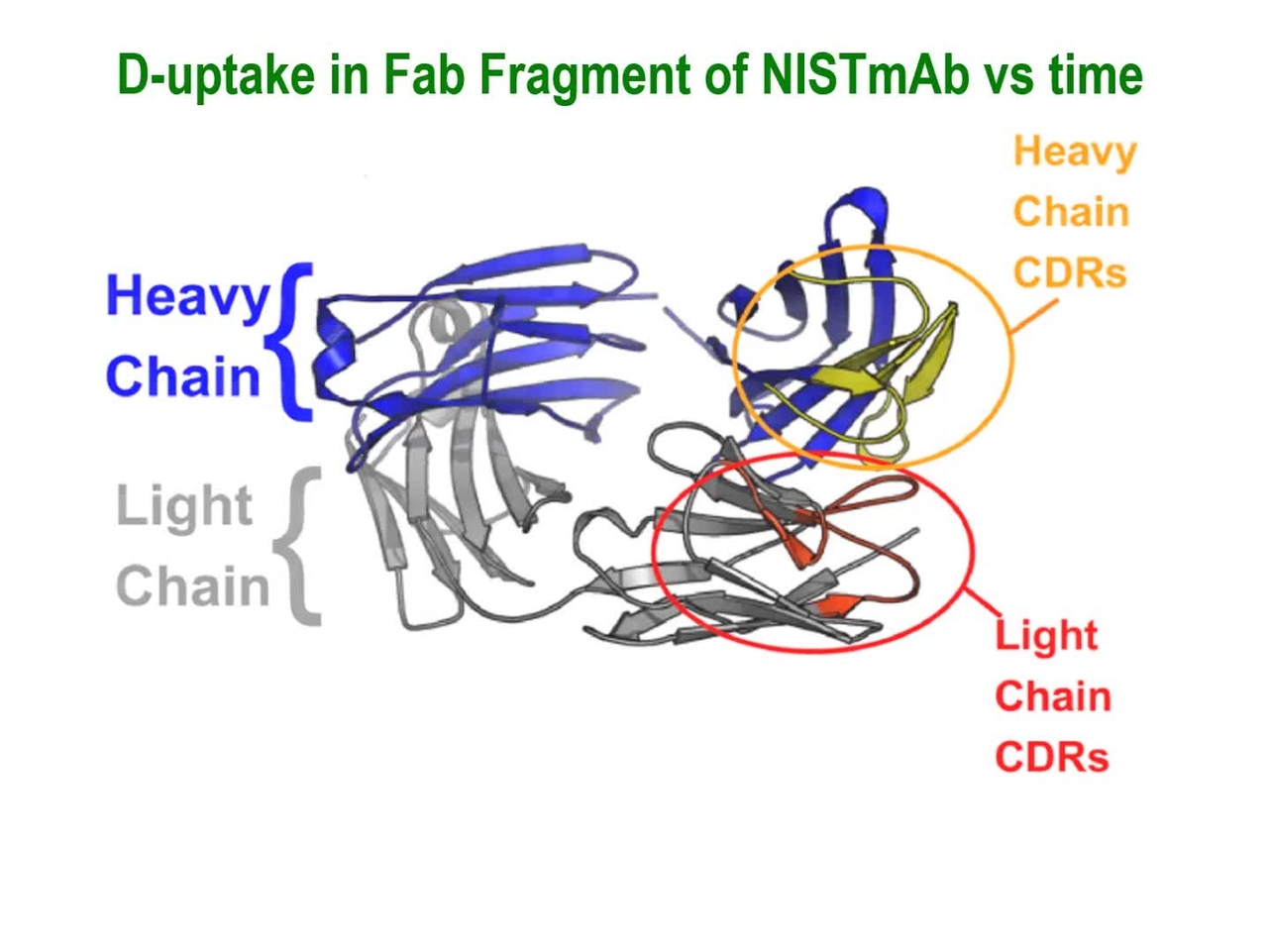 HDX_NISTmAb_Deuterium_Uptake