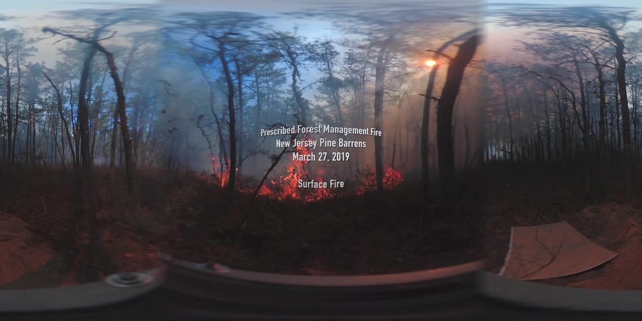 360° Video of Surface Fire during a Prescribed Burn in the New Jersey Pine Barrens on March 27, 2019