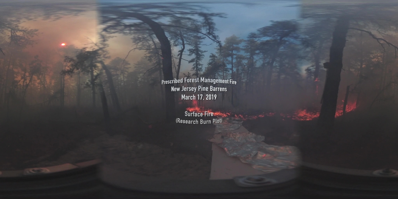 360° Video of Surface Fire during a Prescribed Burn in the New Jersey Pine Barrens on March 17, 2019 (Full Length)