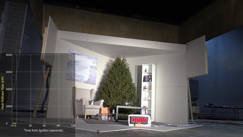 Tree fire: Dry tree with data overlay | NIST