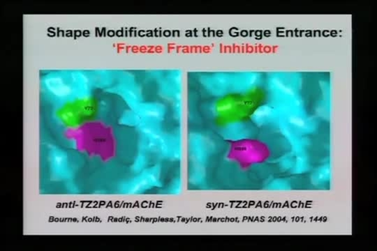 NIST Colloquium Series- Applied Click Chemistry- From Dyeing Cotton to Drug Discovery