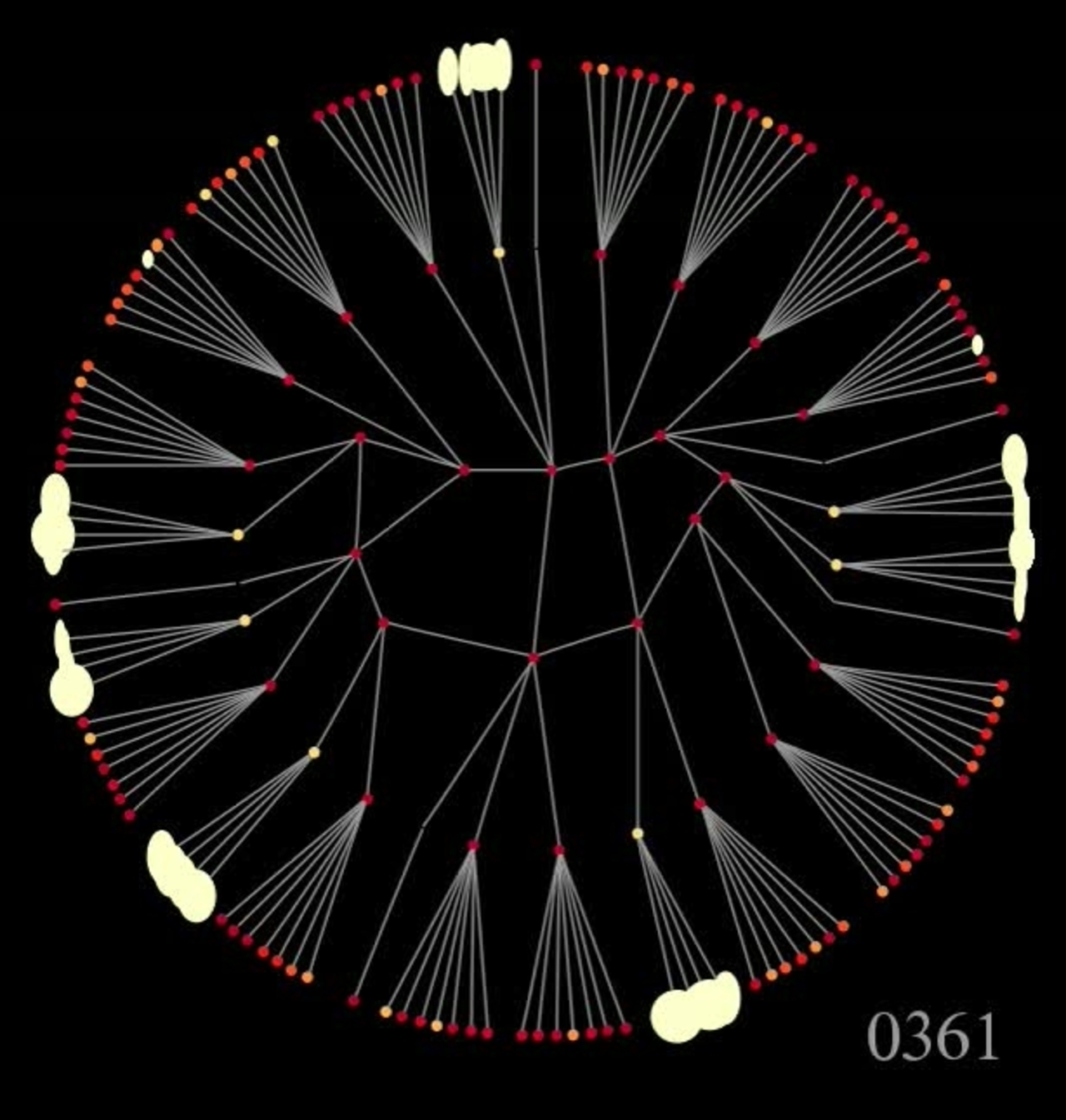 Visualization from a Simulation of a Network Running CTCP