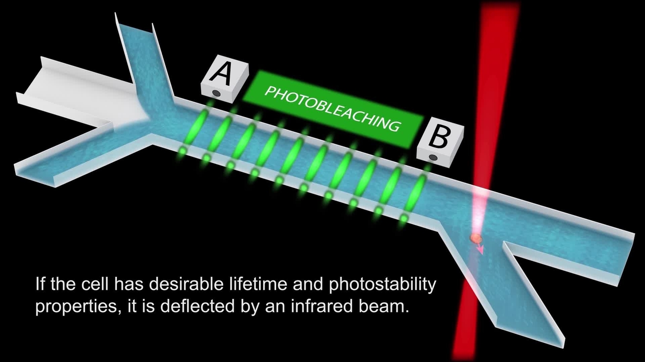 Microfluidic Device for Sorting Fluorescent Cells