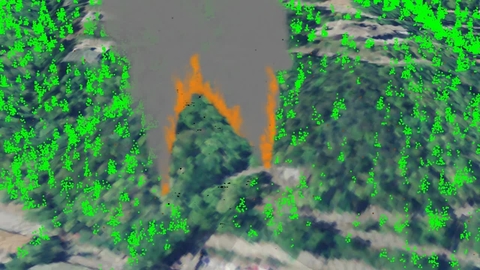 Fire Dynamics Simulator (FDS) Simulation Of A Wildfire | NIST