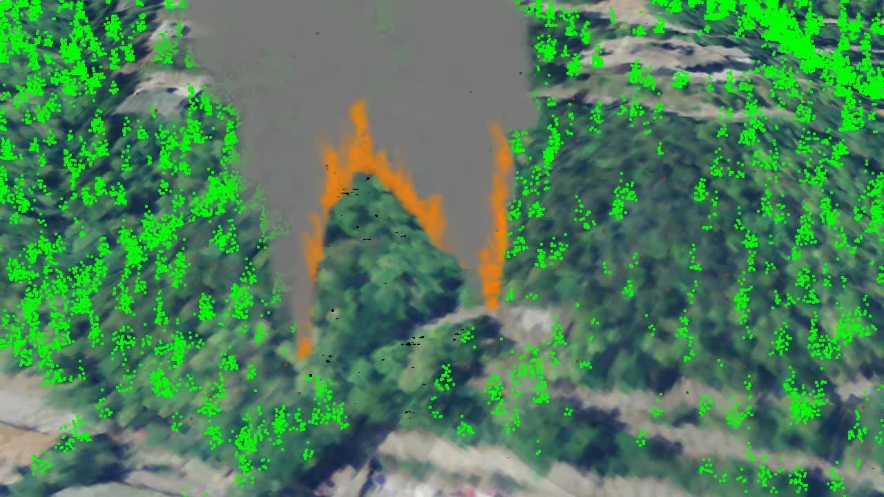 Fire Dynamics Simulator (FDS) Simulation of a Wildfire