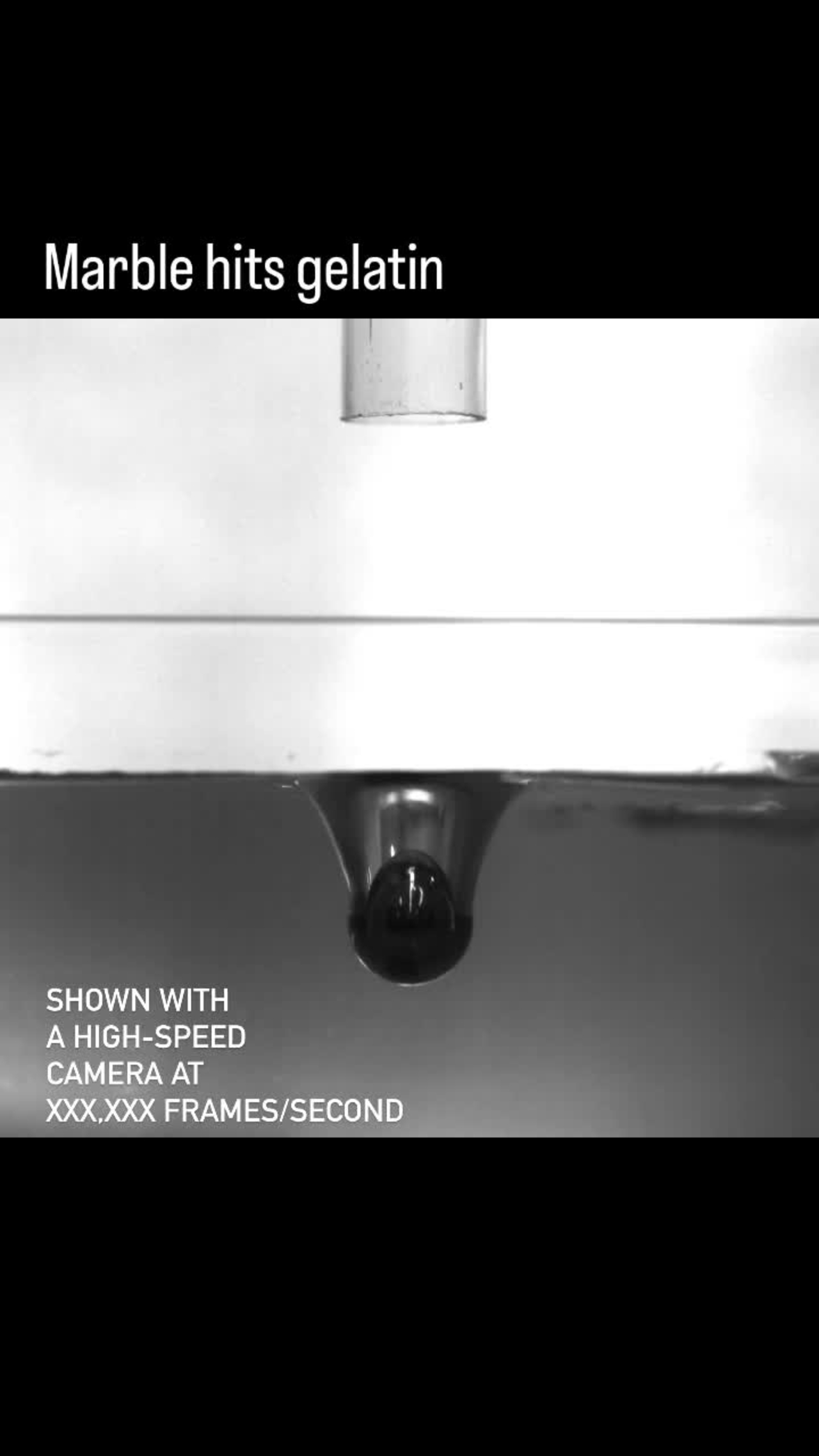 TOKWD activity: impact in slow motion