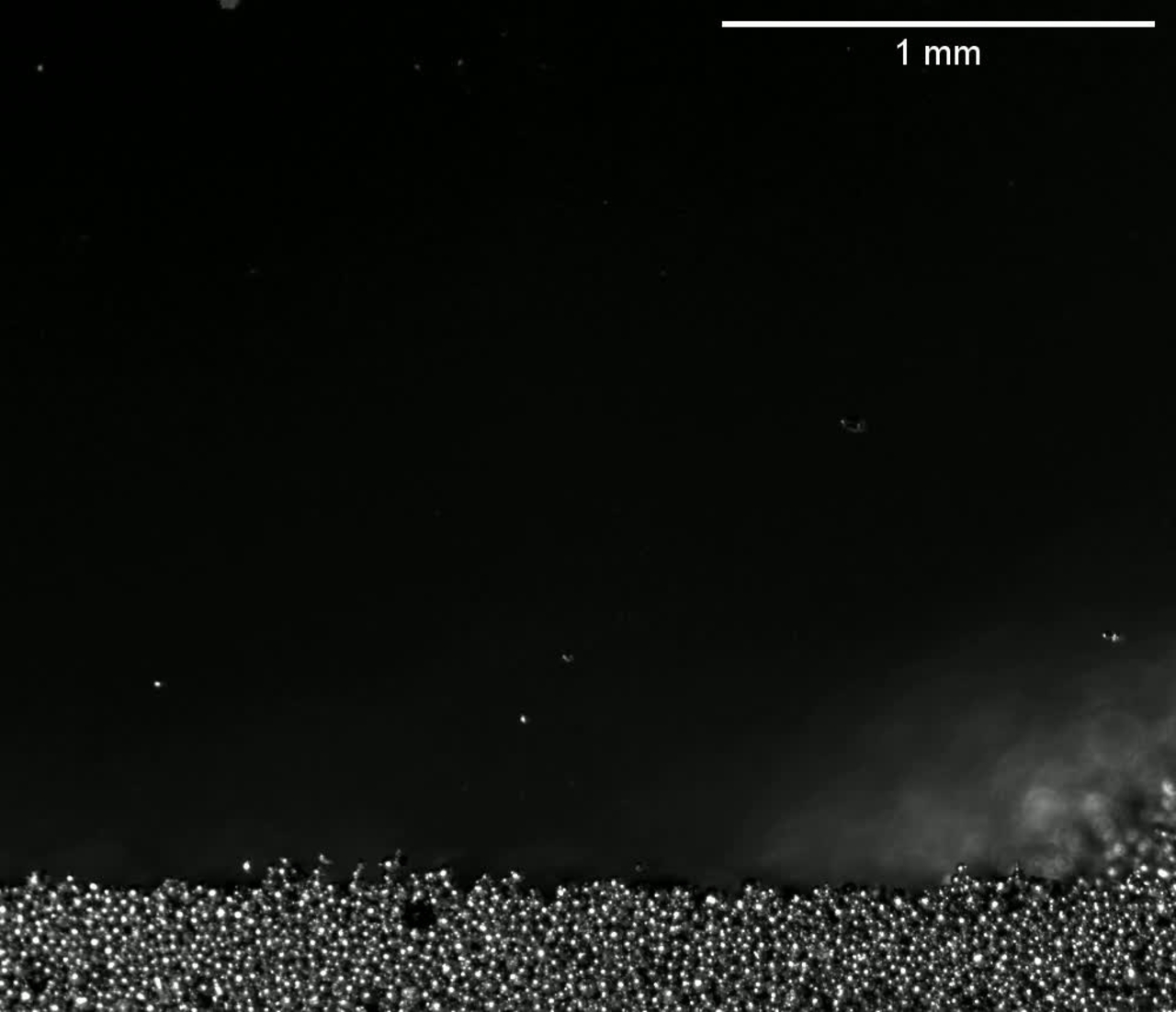 High-speed video of metal powder spreading using the powder spreading testbed (PST) at NIST