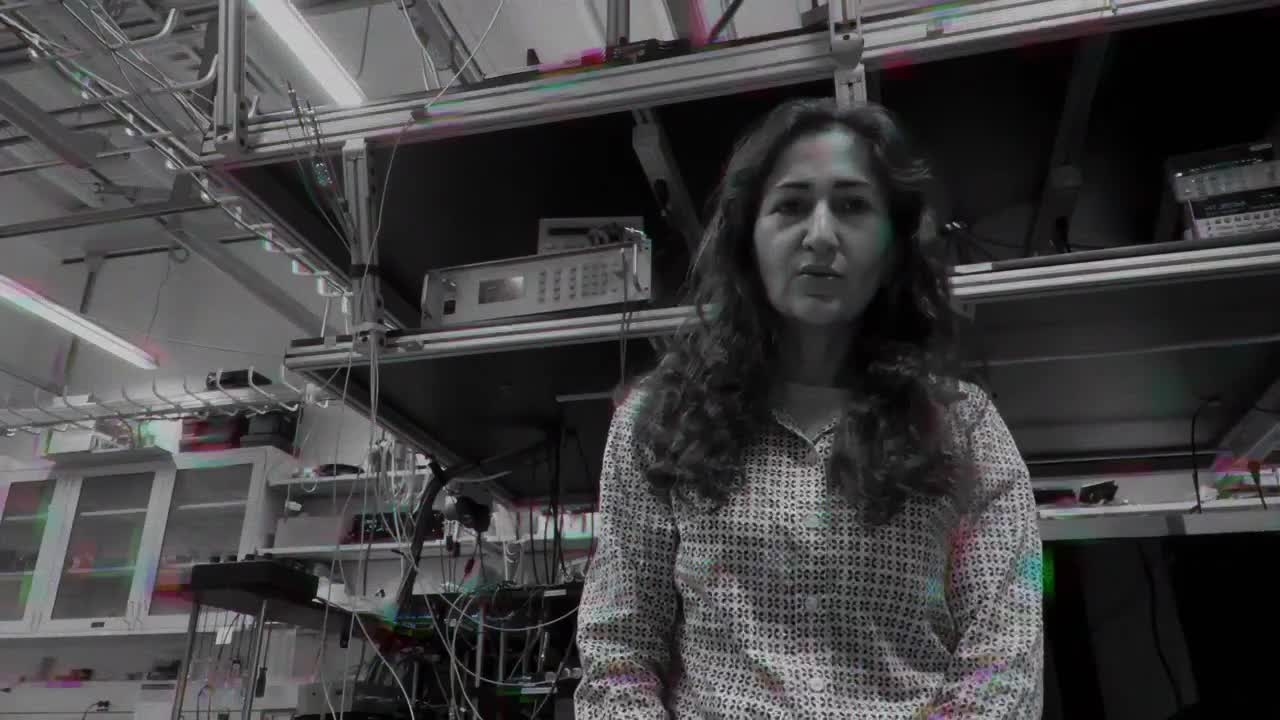 Ladan Arissian on Quantum