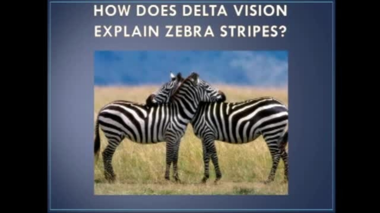 The Zebra's Stripes- A New Theory of Animal Vision