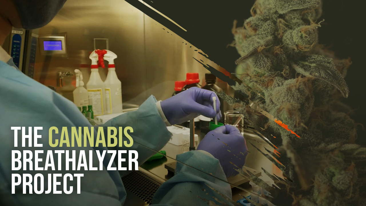 Analyzing THC in the breath of cannabis smokers