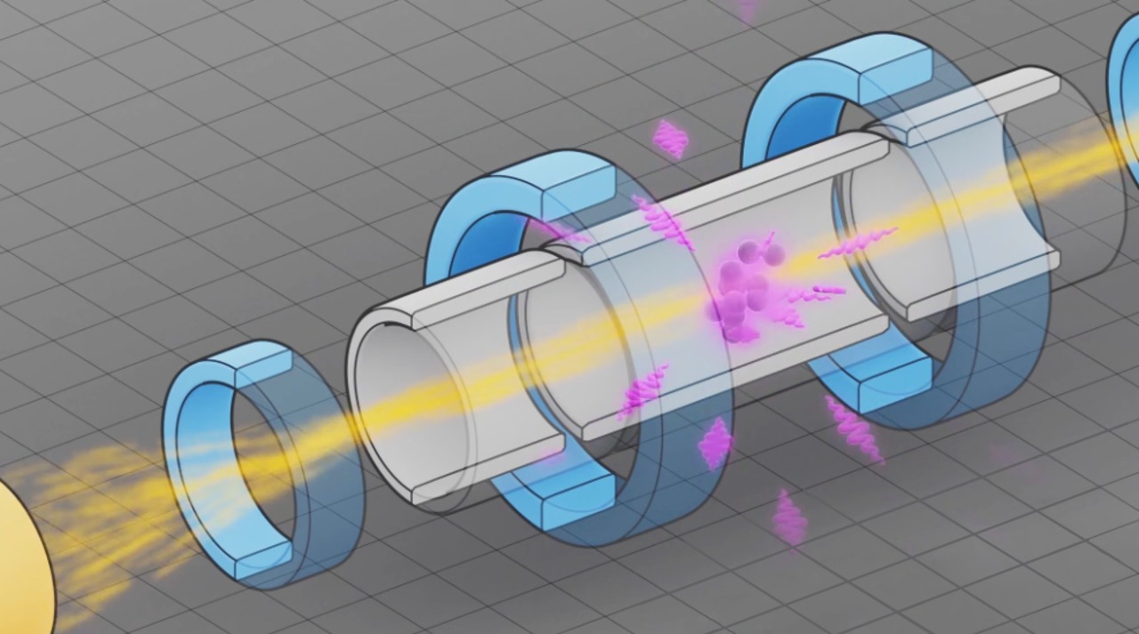 The Electron Beam Ion Trap