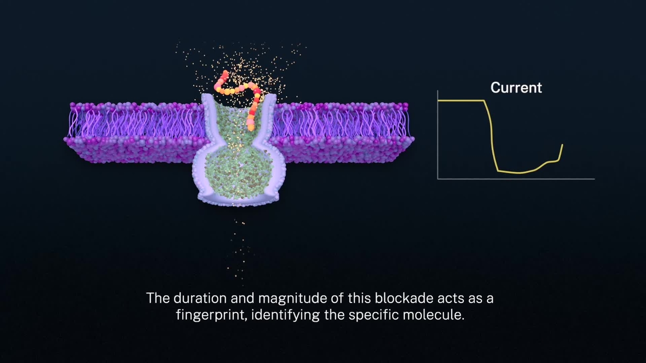 Tuning a Nanopore Biosensor