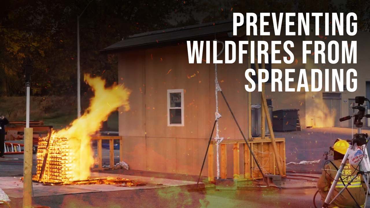 Preventing Wildfires from Spreading: Insights from Cutting-Edge Fire Experiments