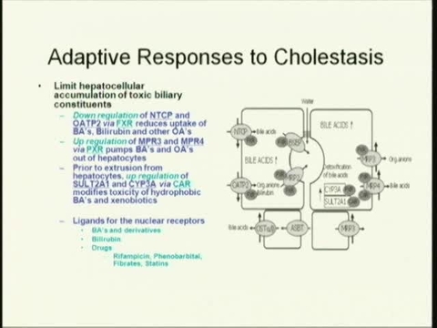 Grand Rounds: 
