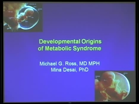 Grand Rounds: Michael Ross, MD, MPH