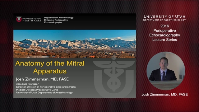 Grand Rounds: Josh Zimmerman, MD, FASE