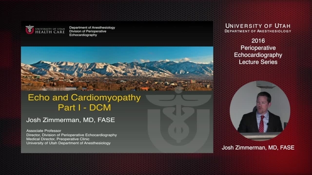 Grand Rounds: Josh Zimmerman, MD, FASE
