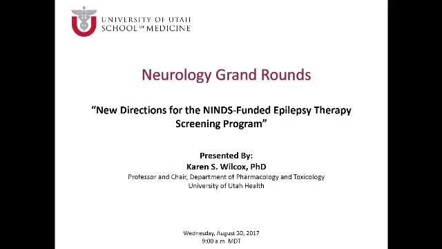 Grand Rounds: Karen S. Wilcox, PhD