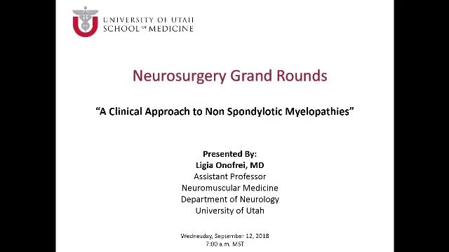 Grand Rounds: Ligia Onofrei, MD