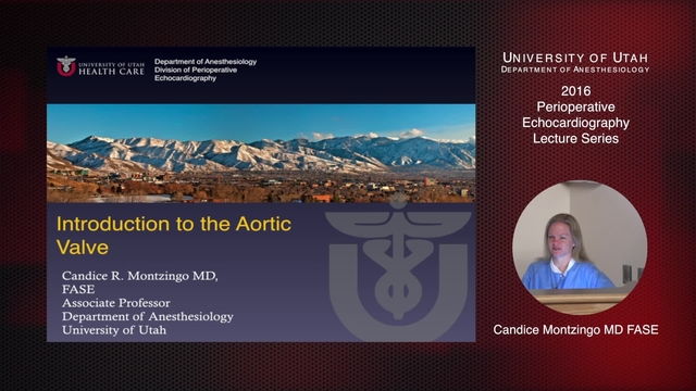 Grand Rounds: Candice Montzingo, MD