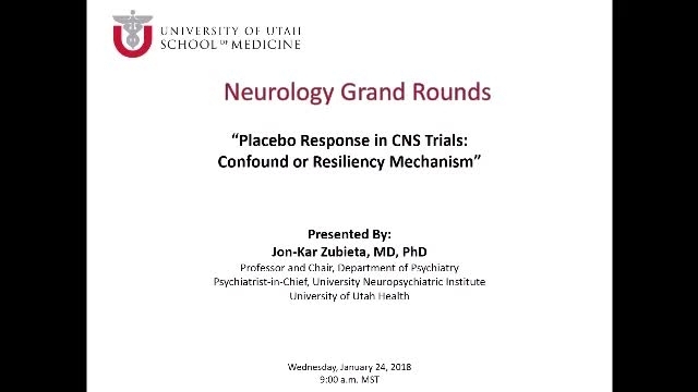 Grand Rounds: Jon-Kar Zubieta, MD, PhD