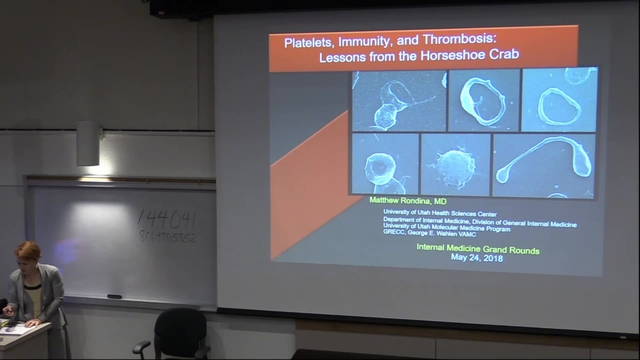 Grand Rounds: Matthew Rondina 