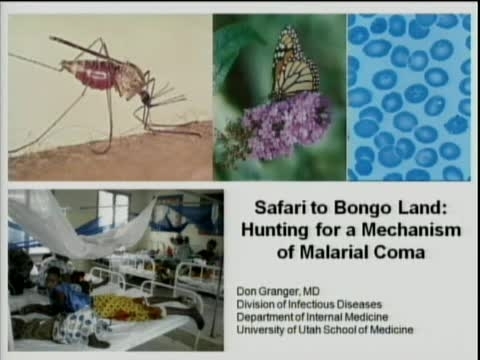 Grand Rounds: 