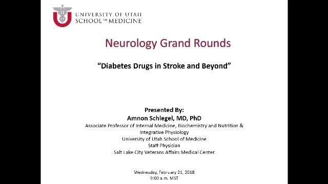 Grand Rounds: Amnon Schlegel, MD, PhD