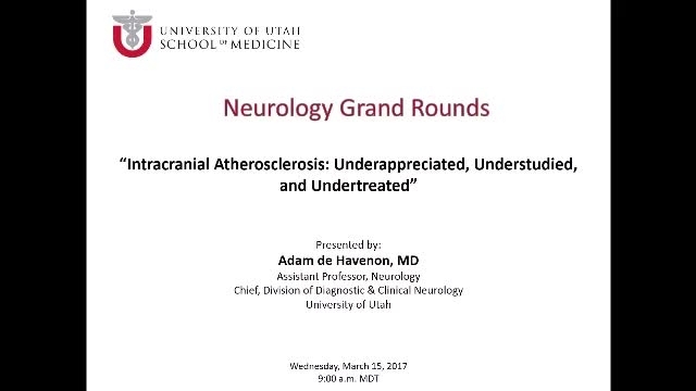 Grand Rounds: Adam de Havenon, MD