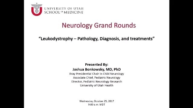 Grand Rounds: Joshua Bonkowsky, MD, PhD