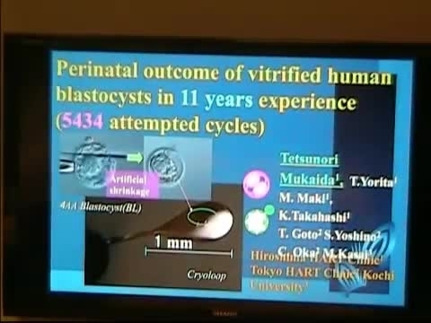 Grand Rounds: Tetsu Mukaida