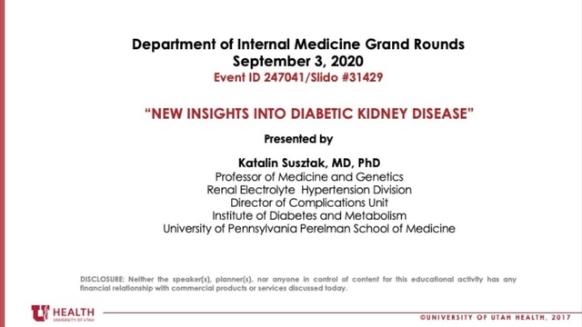 Grand Rounds: Katalin Susztak, MD, PhD