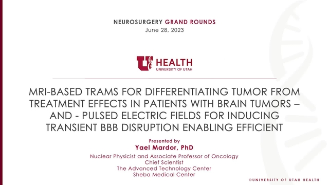 Grand Rounds: Yael Mardor, PhD