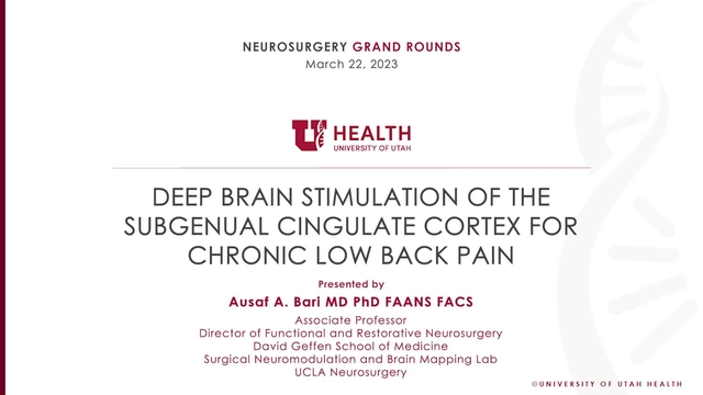 Grand Rounds: Ausaf A. Bari MD, PhD, FAANS, FACS