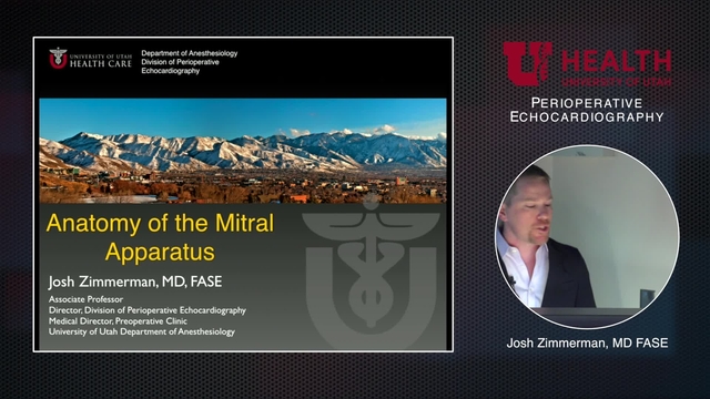 Grand Rounds: Josh Zimmerman