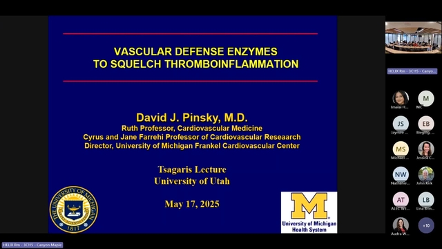 Grand Rounds: David J. Pinsky, MD 