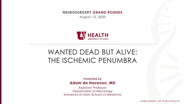 Grand Rounds: Adam de Havenon, MD