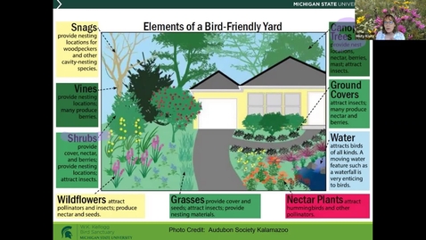 Thumbnail for entry Birds &amp; Coffee Chats : Native Plants for Bird- Friendly Landscapes